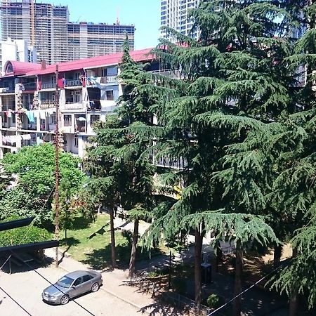 Comfortable Apartment In Батуми Экстерьер фото