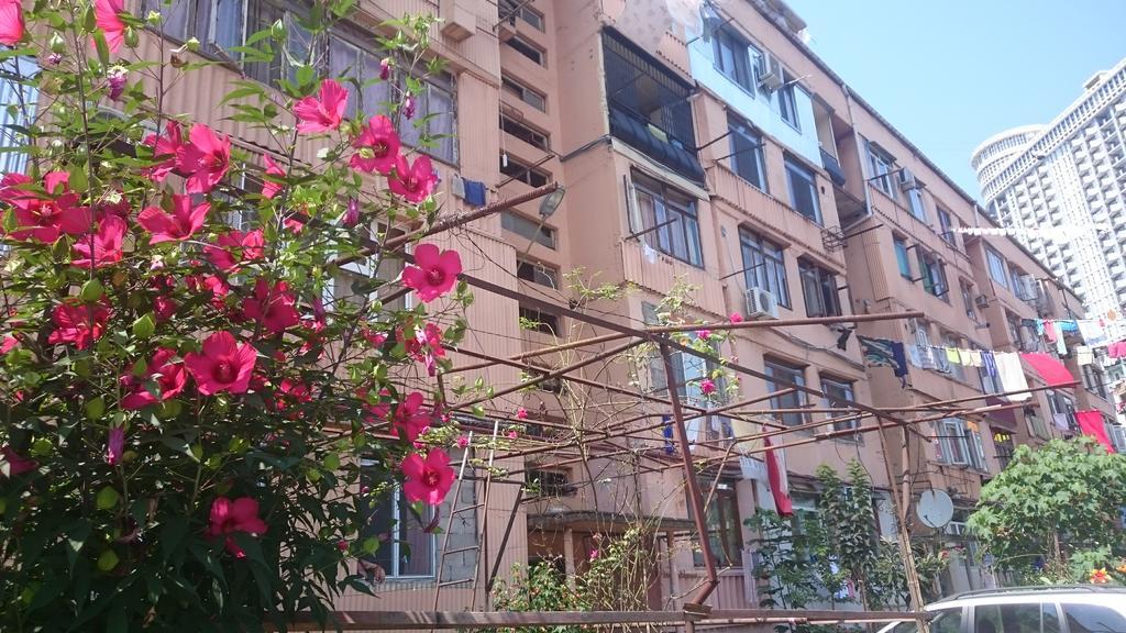 Comfortable Apartment In Батуми Экстерьер фото